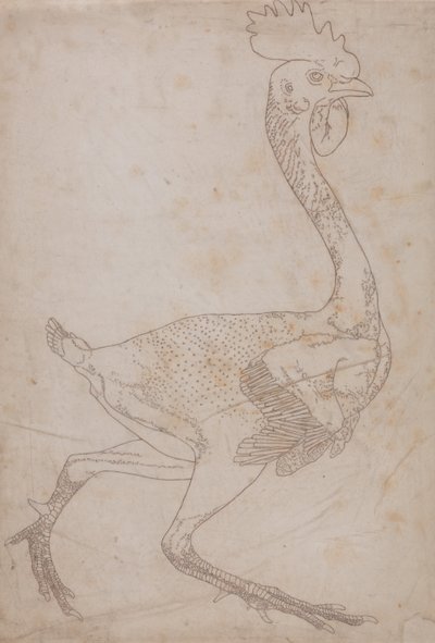 A Comparative Anatomical Exposition of the Structure of the Human Body with That of a Tiger and a Cow by George Stubbs